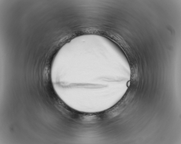 X0000112940669200909211135