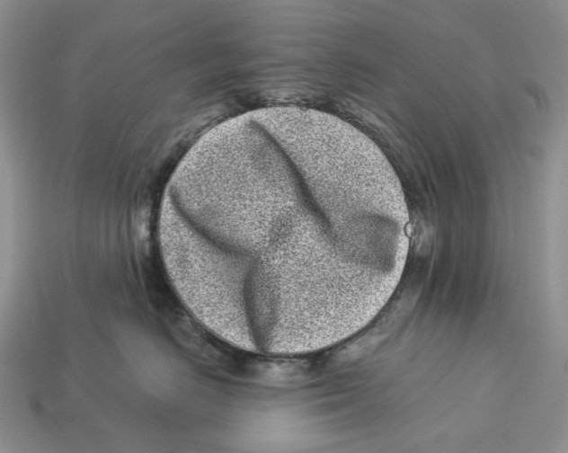 X0000112940670200909211135
