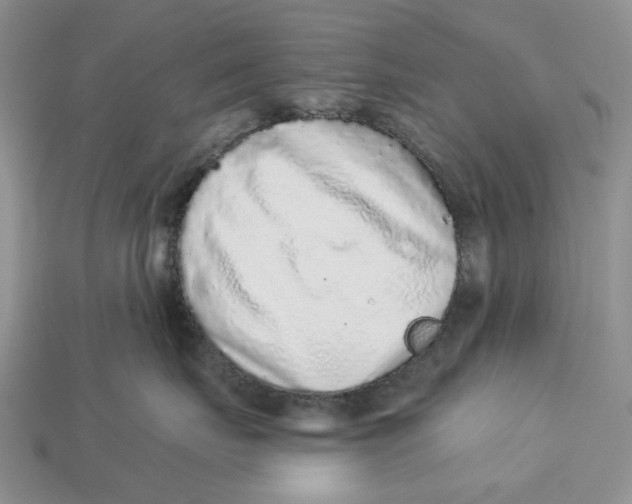 X0000112940671200909211135