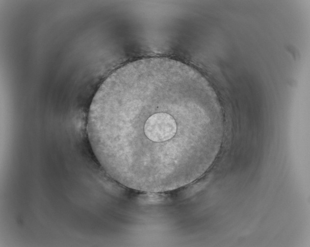 X0000112940672200909211135
