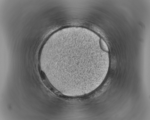 X0000112940673200909211134