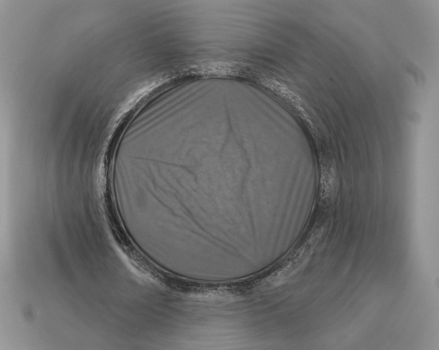 X0000112940674200909211134