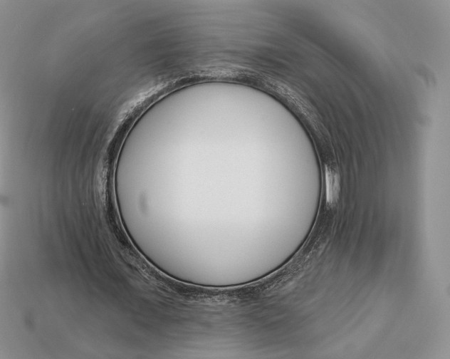X0000112940675200909211134