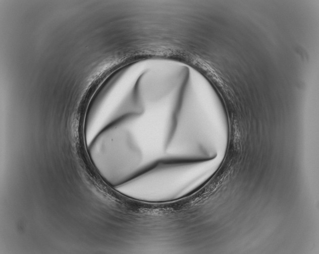 X0000112940679200909211134