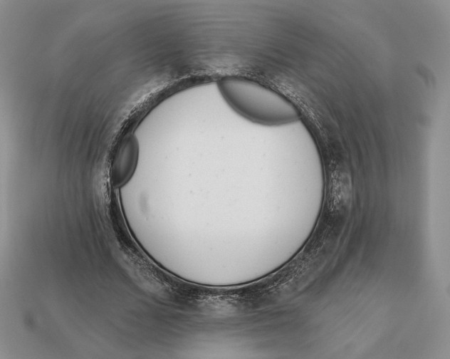 X0000112940680200909211134