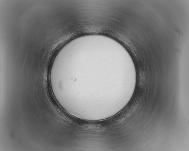 X0000112940681200909211134
