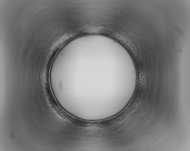 X0000112940682200909211134