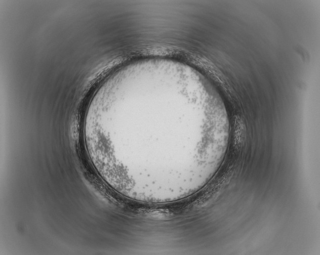 X0000112940683200909211134