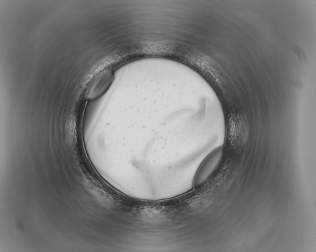 X0000112940684200909211134