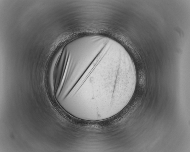 X0000112940685200909211134