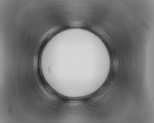 X0000112940686200909211134
