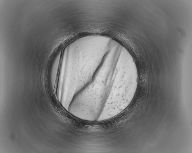 X0000112940688200909211134