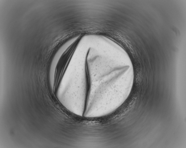 X0000112940689200909211134