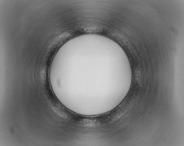 X0000112940690200909211134
