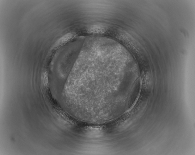 X0000112940692200909211134