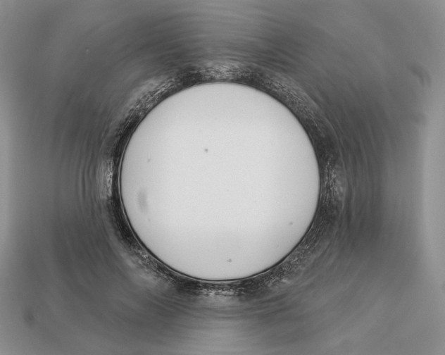 X0000112940694200909211134