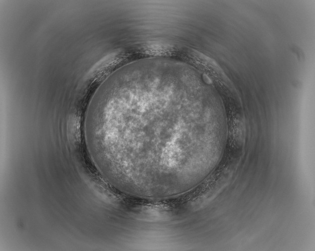 X0000112940696200909211134