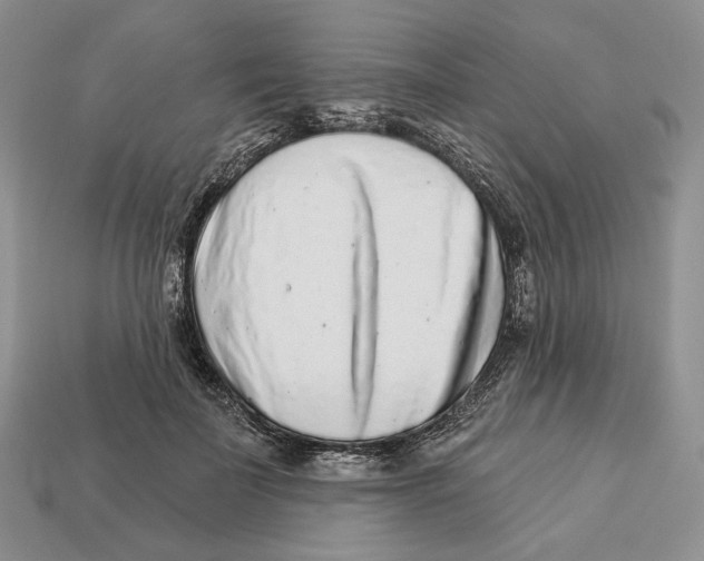 X0000112940699200909211134