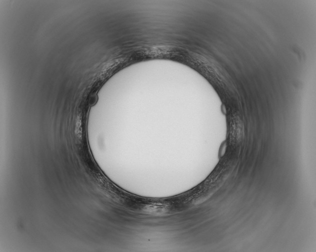X0000112940700200909211134