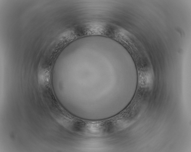 X0000112940701200909211134