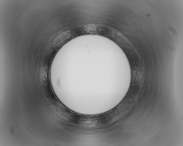 X0000112940702200909211134