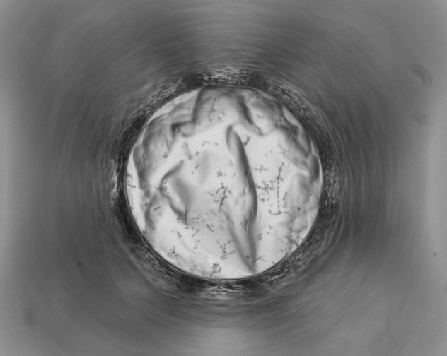 X0000112940703200909211134