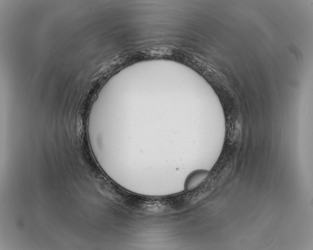 X0000112940704200909211134