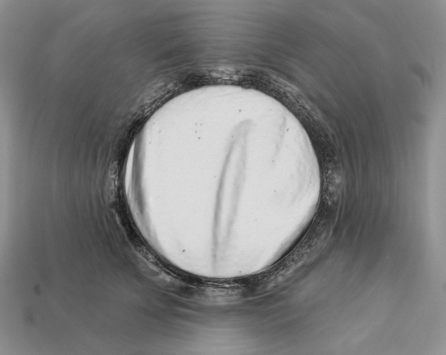 X0000112940707200909211134
