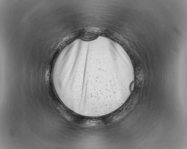 X0000112940708200909211134