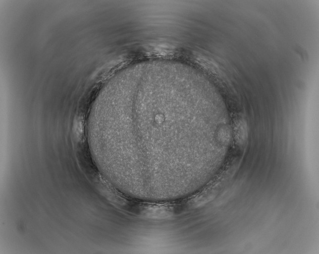 X0000112940709200909211134