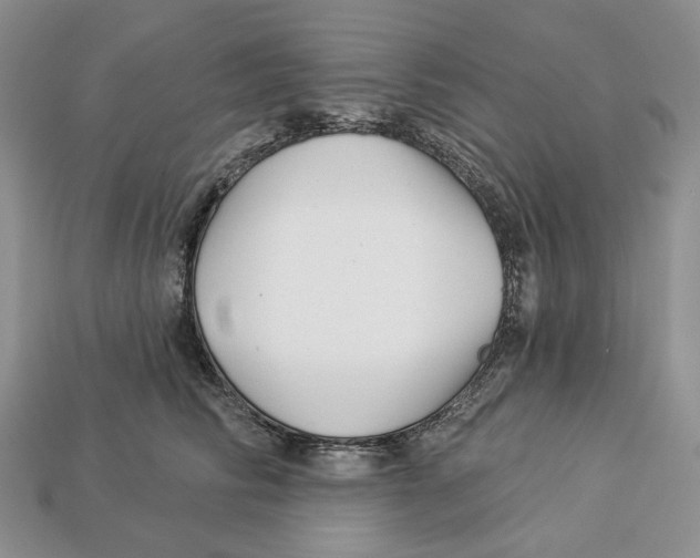 X0000112940710200909211134
