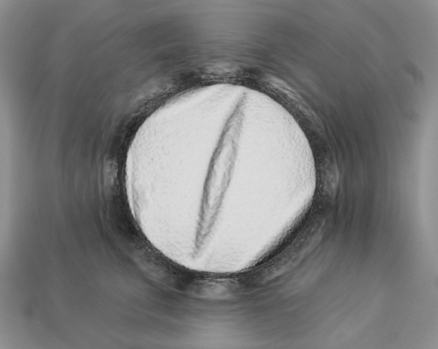 X0000112940711200909211134