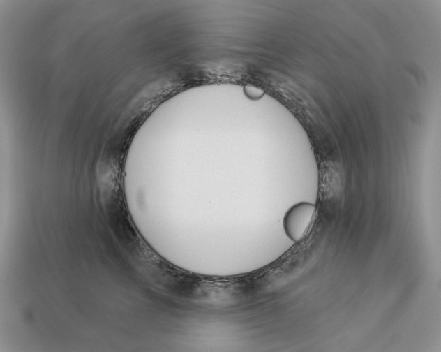 X0000112940713200909211134