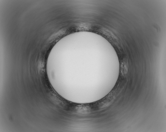 X0000112940714200909211134
