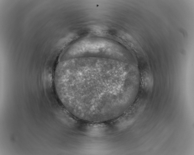 X0000112940716200909211134