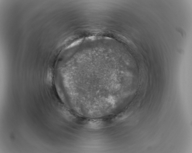 X0000112940720200909211133