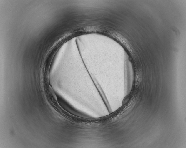 X0000112940722200909211133