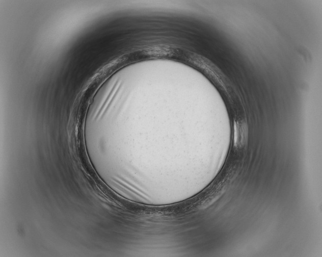 X0000112940723200909211133