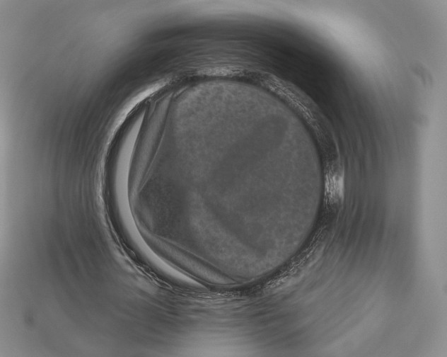 X0000112940724200909211133