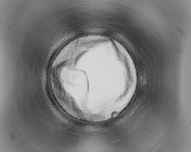 X0000112940725200909211133