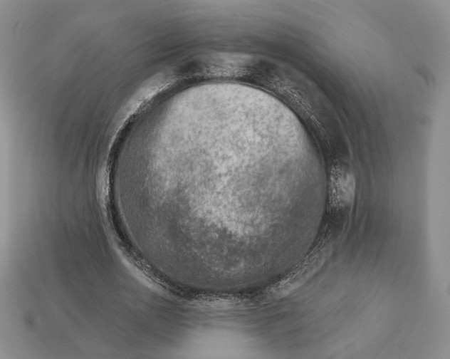 X0000112940726200909211133
