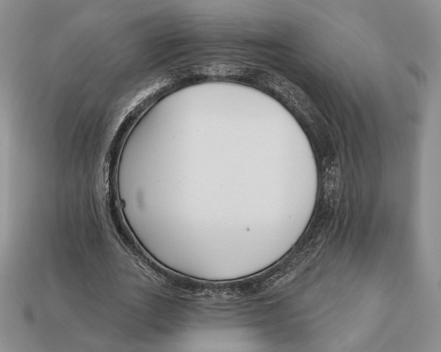 X0000112940727200909211133