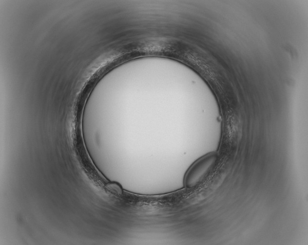 X0000112940728200909211133