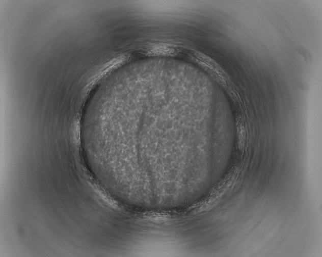 X0000112940729200909211133