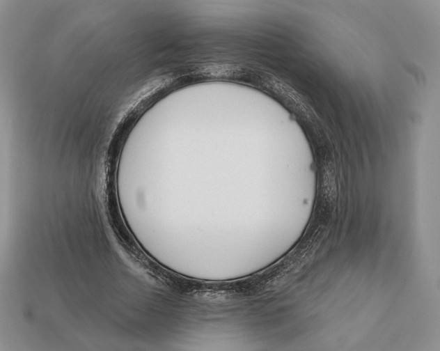 X0000112940730200909211133