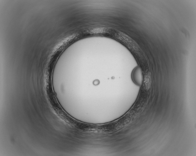 X0000112940732200909211133