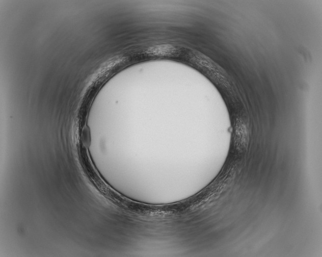 X0000112940734200909211133