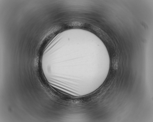 X0000112940735200909211133