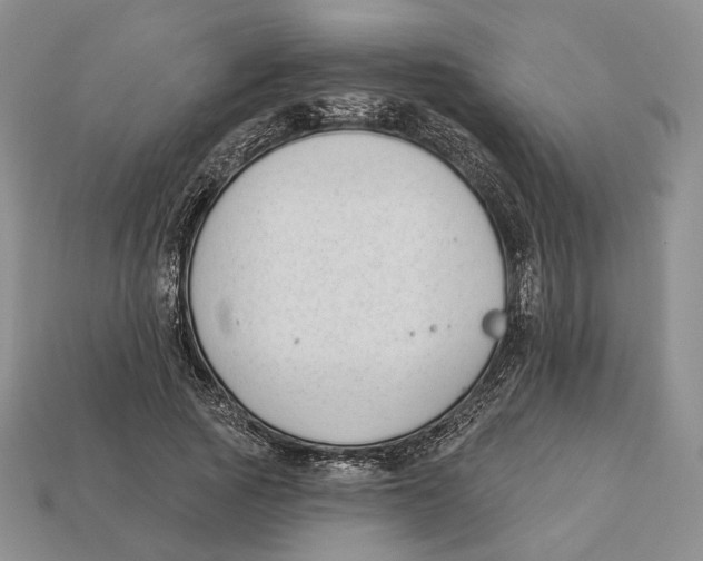 X0000112940737200909211133
