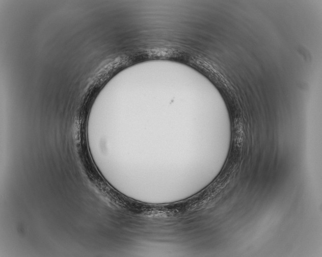 X0000112940738200909211133
